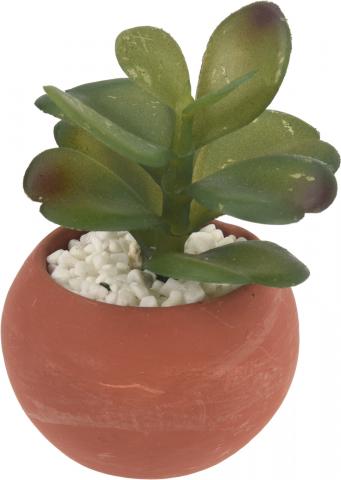Изкуствен суколент в керамична саксия, снимка 3 - Единични цветя