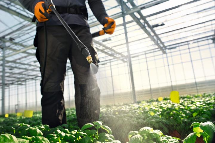 Механична пръскачка Stihl SG 71 18л, снимка 3 - Пръскачки