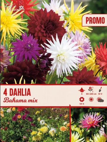 Луковици LET S GROW Далия Bahama mix - Далии