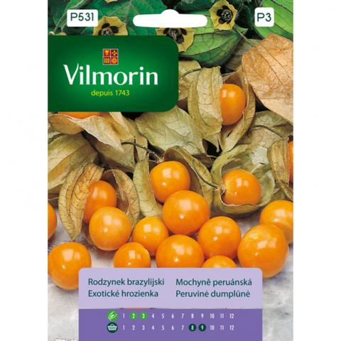 Физалис - Вилморин - Семена за плодове и зеленчуци