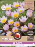 Луковици Лале Bakeri Lilac Wonder 30 бр.