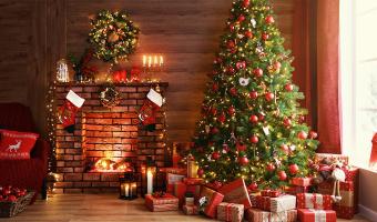 Как да изберем коледно осветление за дома и градината?