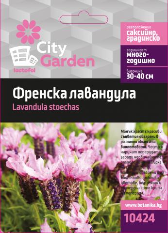 City garden семена френска лавандула - Семена за цветя