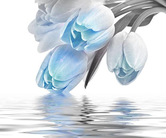 Декоративна фаянсова плочка Love Tulips Blue 50x60 см - Декор