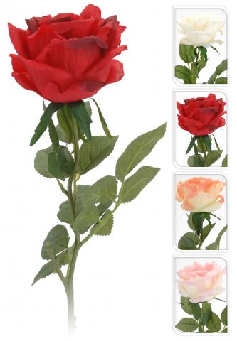 Роза 73 см - Единични цветя