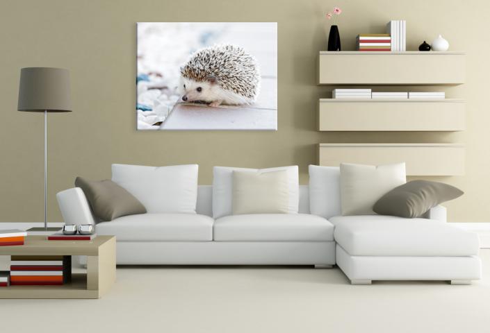 Картина Porcupine 50x66 см, снимка 2 - Картини и рамки
