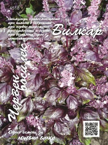 Семена БИЛКАР Червен босилек - Семена за билки и подправки