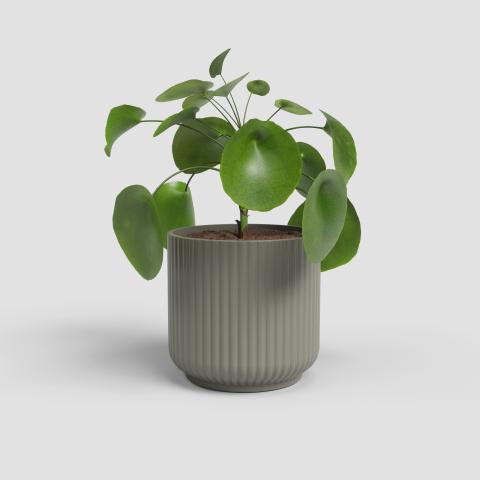 Кашпа Luna ф12 см таупе, снимка 2 - Керамични кашпи