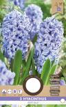 Луковици Зюмбюл  Delft Blue 5бр.