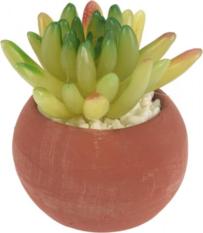 Изкуствен суколент в керамична саксия, снимка 4 - Единични цветя