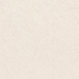 Гранитогрес IJ Етера 450x450 Бежов