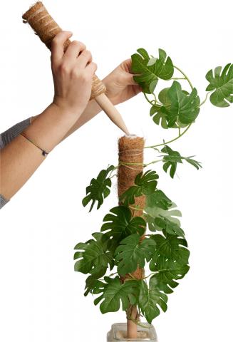 Стик за растения кокос 30 см, снимка 2 - Саксии фигурки