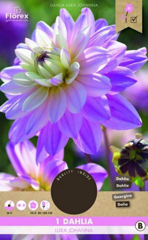 Луковици Pure Далия Luca Johanna 1бр. - Далии