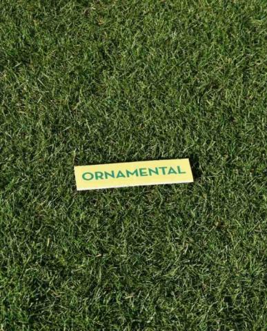 Професионална тревна смеска 5кг Орнаментал, снимка 3 - Специални тревни смески
