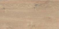 Гранитогрес HARMONY WOOD ALMOND 31x62