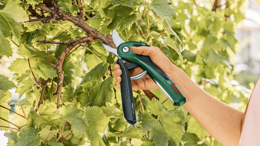 Акумулаторна градинска ножица Bosch EasyPrune, снимка 2 - Акумулаторни градински инструменти
