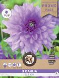 Луковици Promo Далия Blue Boy 3бр.