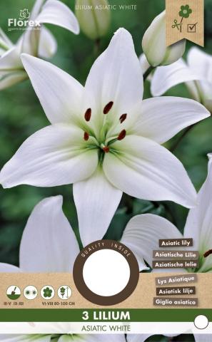 Луковици Лилиум Asiatic White 3бр - Специалитети