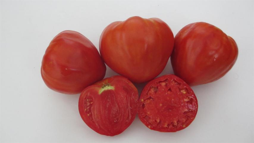 Разсад домат 6бр. Български селектирани сортове, снимка 6 - Външни растения