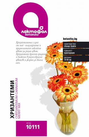 Лактофол БОТАНИК Хризантеми - Семена за цветя