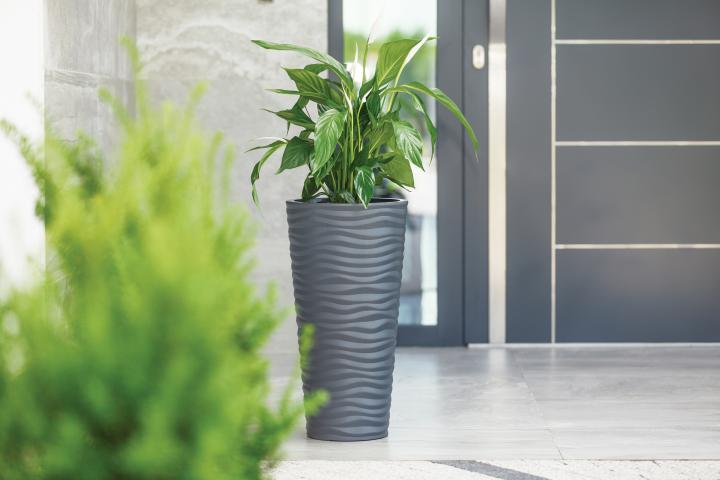 Кашпа Sahara Slim ф30х56 см антрацит, снимка 2 - Пластмасови кашпи