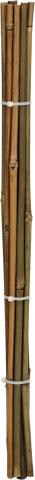 Бамбукови пръчки 10 бр. 60 см - Аксесоари за цветя