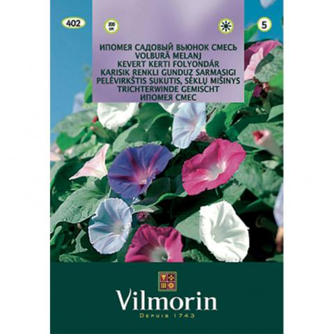 Ипомея смес - Вилморин - Семена за цветя