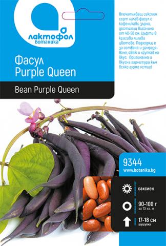 Лактофол БОТАНИК  Фасул Purple Queen - саксиен сорт 50 гр. - Семена за плодове и зеленчуци