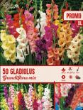 Луковици Let s grow Гладиола 50бр.