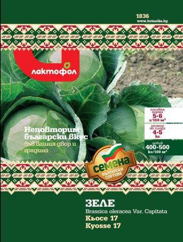 Български семена Зеле Кьосе 17 - 5 гр. - Семена за плодове и зеленчуци