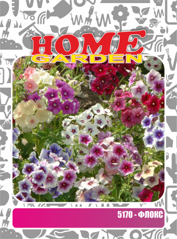 Семена за цветя HomeGarden ФЛОКС ДРУМОНДИ МИКС - Семена за цветя