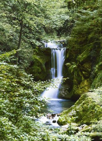 Фототапет Waterfall in Spring 183х254 см - Фототапети