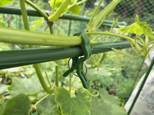 Щипка за растения от ф8-25 мм 10 бр., снимка 3 - Принадлежности за връзване