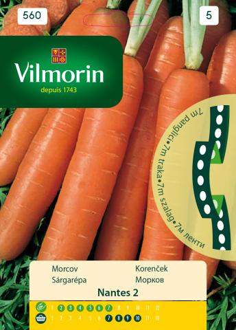 Вилморин семена Морков - Ленти Nantes 2 - Семена за плодове и зеленчуци