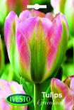 Лукувици Лале VIRIDIFLORA Greenland