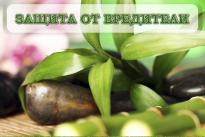 Помощни продукти за отглеждане на растения