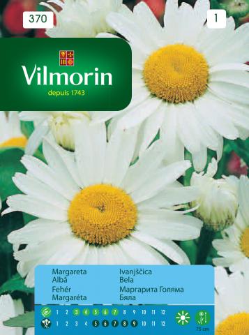 Маргарита голяма бяла - Вилморин, снимка 2 - Семена за цветя