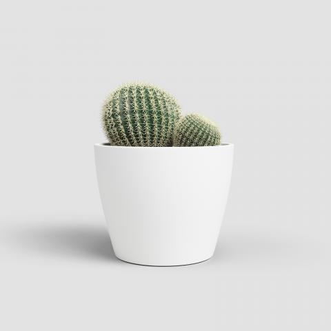 Кашпа за кактус Nubia ф9 см бяла, снимка 2 - Керамични кашпи