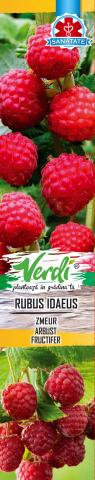 Плодни храсти, микс  Verdi - Овошки и плодни храсти