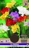 Луковици PURE Фрезия double mix, 15бр