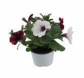 Конфети Микс ф12 см