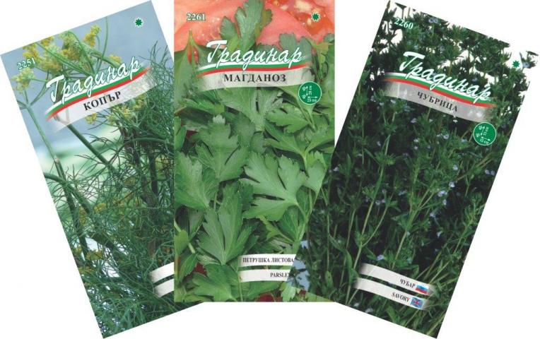 Семена за подправки Градинар - Семена за билки и подправки