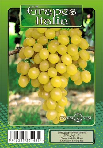Лози NATURA VERA, микс - Овошки и плодни храсти