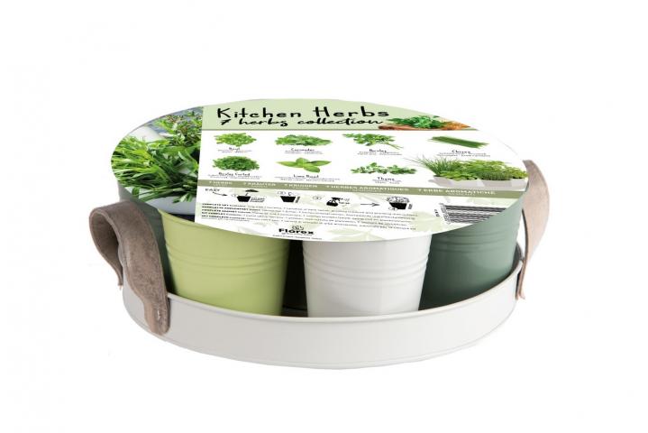 Семена кухненски подправки 7 вида - Специалитети