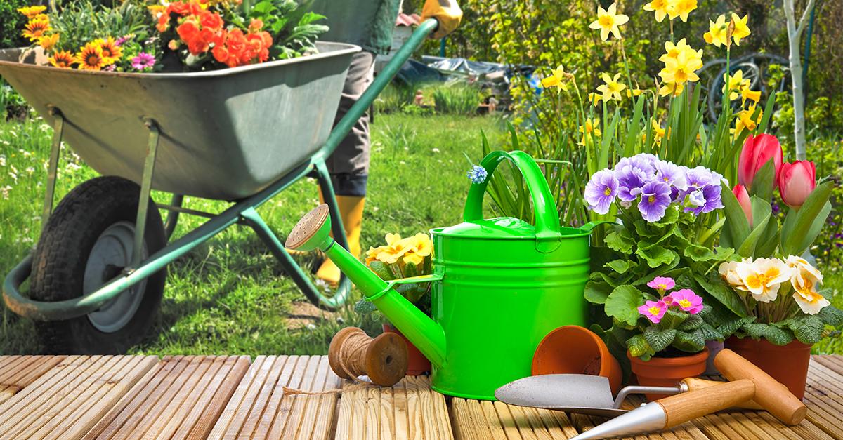 15 от най-красивите градински цветя, които да засадите тази пролет