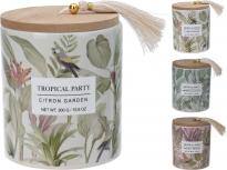Свещ в буркан Tropical party 9x9 см
