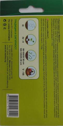 Семена ИЗК МАРИЦА Корнишони Мерсия, снимка 2 - Семена за плодове и зеленчуци