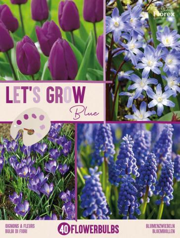 Луковици микс Let s Grow синьо 40бр. - Външни растения