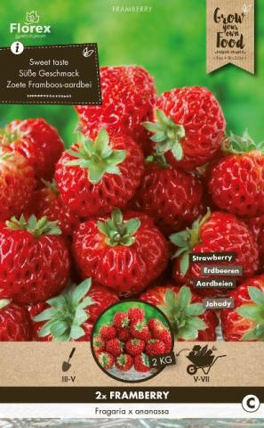 Грудки Ягода Framberry 2 бр./пак. - Външни растения