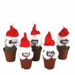 Кактус Santa Ф6.5см